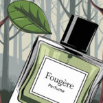 perfume fougère o que é